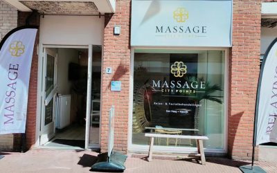 De beste acupunctuur behandelingen in Rijswijk