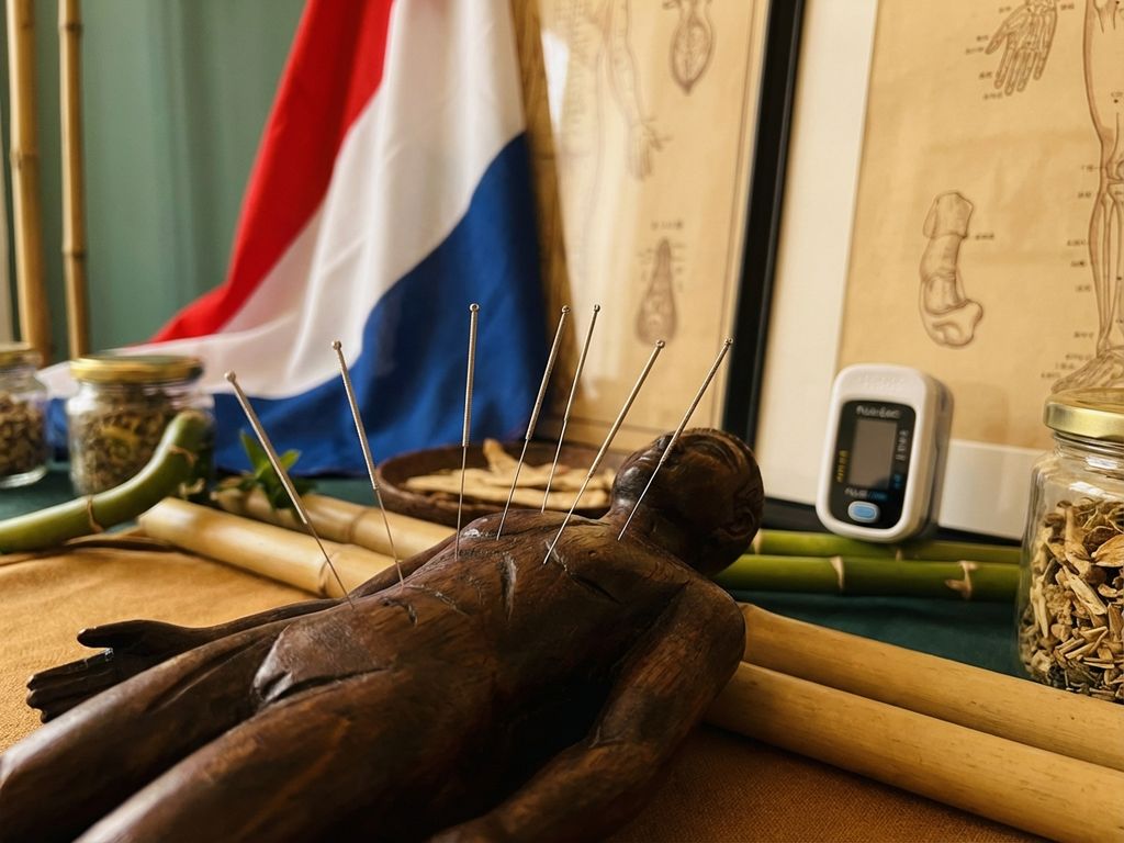 Acupunctuurnaalden in traditioneel houten model met Nederlandse vlag op achtergrond, TCM-kaarten en medische apparatuur