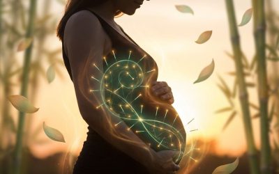 Kan acupunctuur tijdens de zwangerschap?